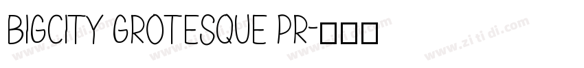 BigCity Grotesque Pr字体转换